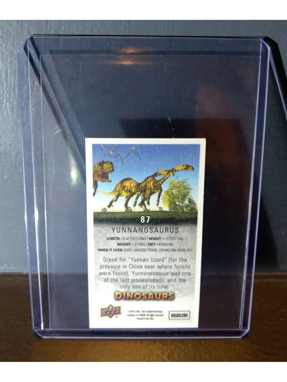 2015 Upper Deck Dinosaurs Canvas Mini Yunnanosaurus #87 Trading Card